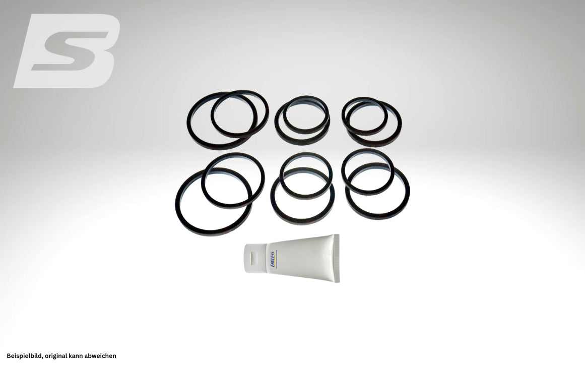 Endless Bremssattel Dichtringe